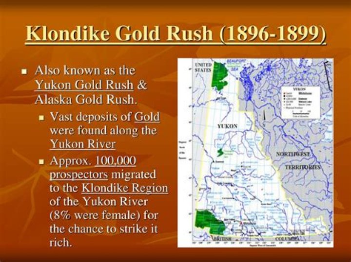 An In-Depth Profile Of The Yukon Gold Miner