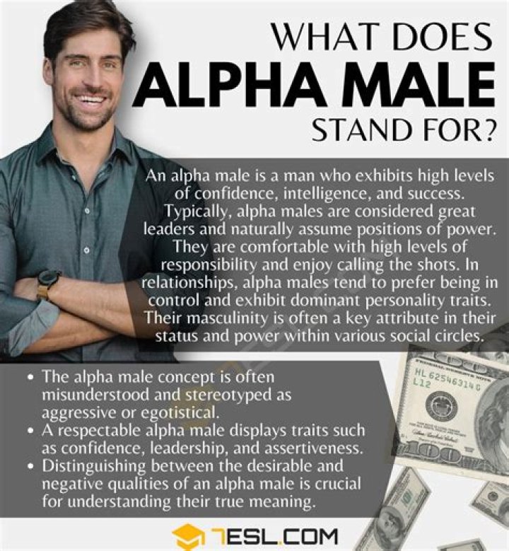The Alpha Male's Guide To Success