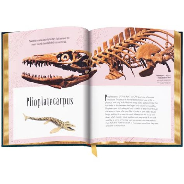 The Complete Guide To Tommy Lee's Spouses: Past, Present, And Future