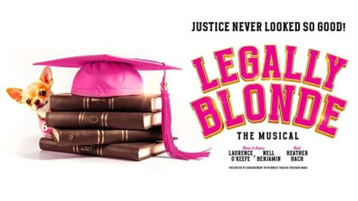 The Ultimate Guide To The Iconic Cast Of Legally Blonde