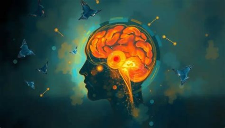 Unveiling The Brain's Hidden Gems