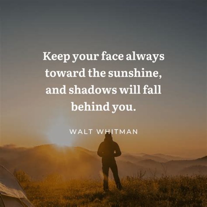 Unveiling The Wisdom That's Been On Your Tail: An Inspiring Quote